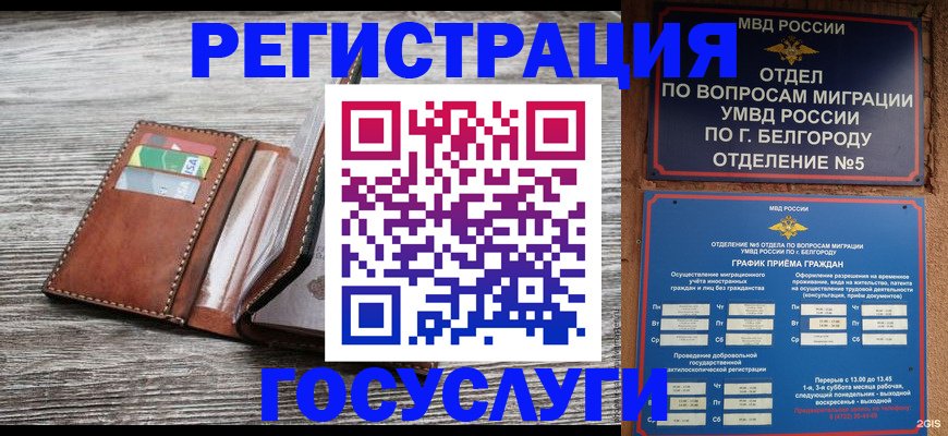 временная регистрация гарантия в Вологде